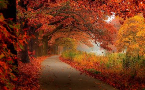 fall scenery images|fall scenery images for desktop.